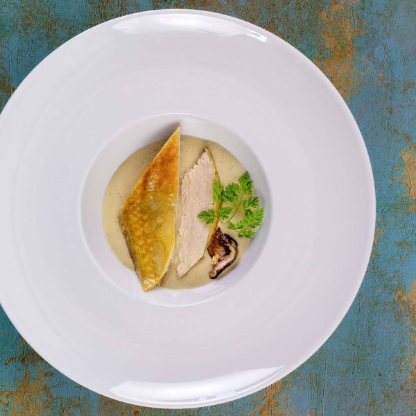 Pintade Fermière en dressage