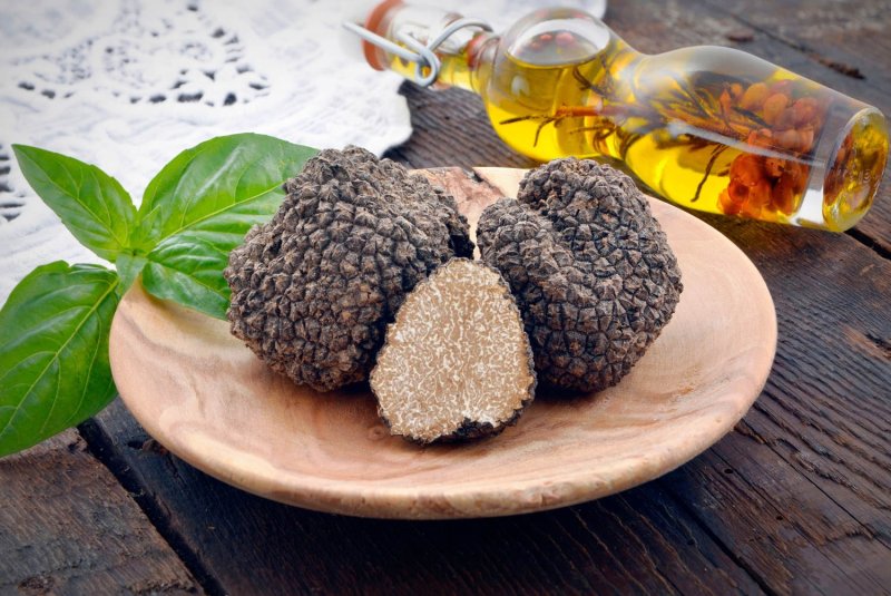 Truffe noire de Bourgogne